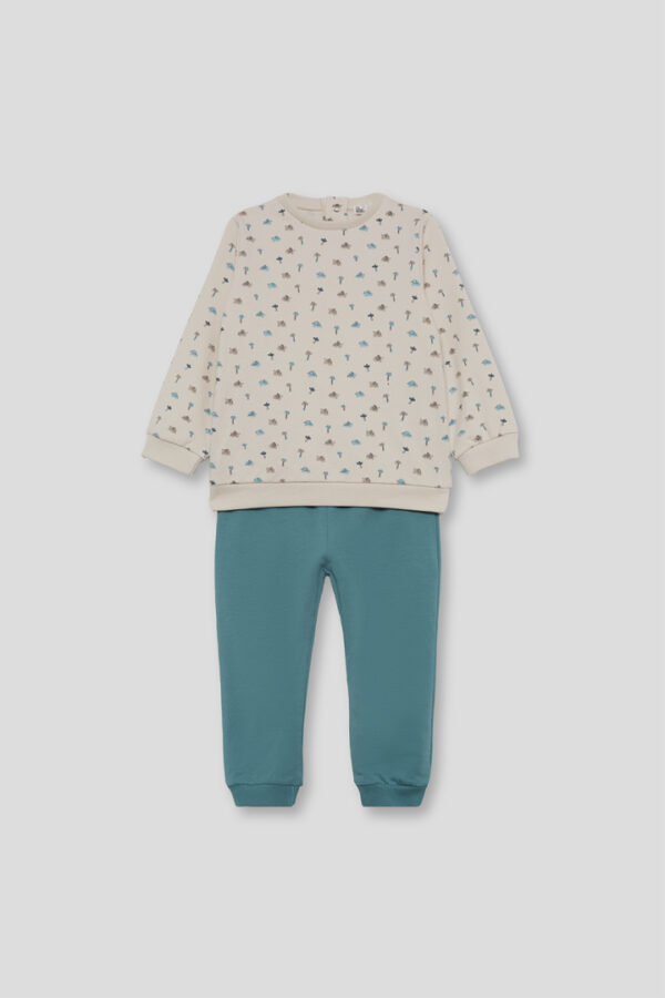 CONJUNTO ELEFANTES