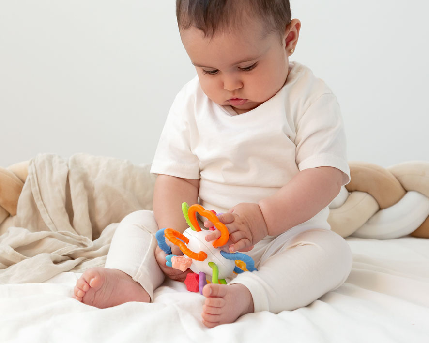 MORDEDOR 11CM DENTICION - Imagen 3